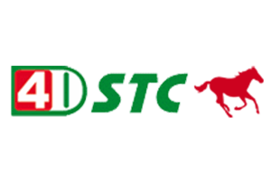 STC 4D logo